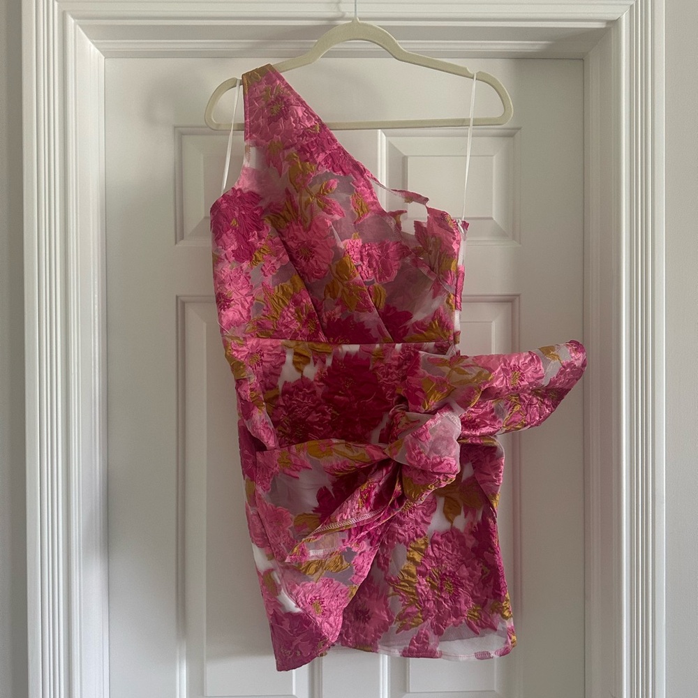 NWOT Brailey Mini Dress in Pink